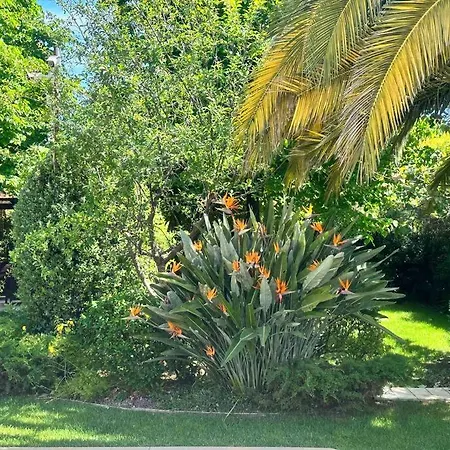Διαμέρισμα Luxury Giardini D'oriente &
